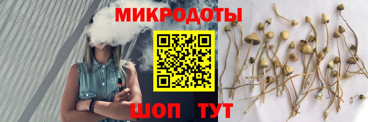 где купить наркотик  Вход с VPN  Псилоцибиновые грибы Psilocybine cubensis  Железноводск  Псилоцибиновые грибы MAGIC MUSHROOMS 